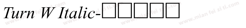 Turn W Italic字体转换